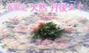 今月のお勧め
