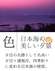 色とりどり四季の夕日