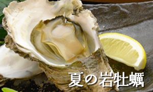 今月のお勧め